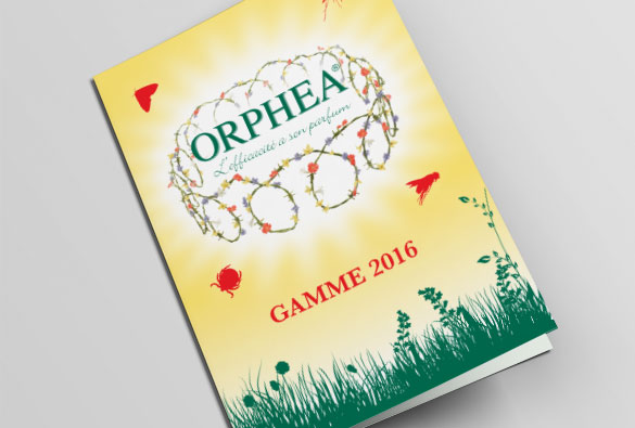 Création d'une brochure